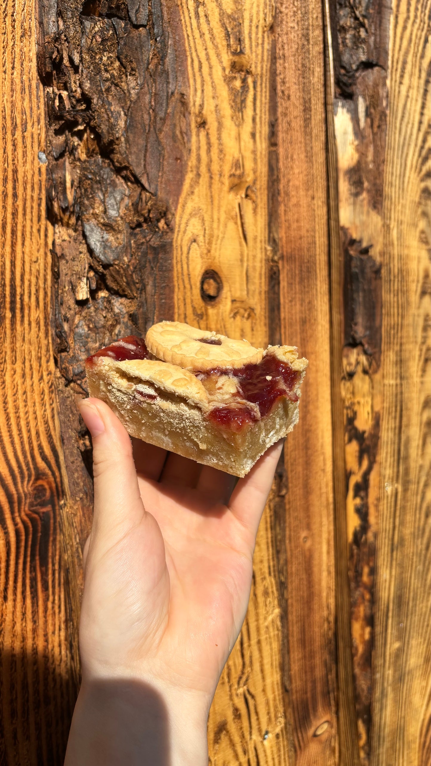 Wholesale Blondies - 20