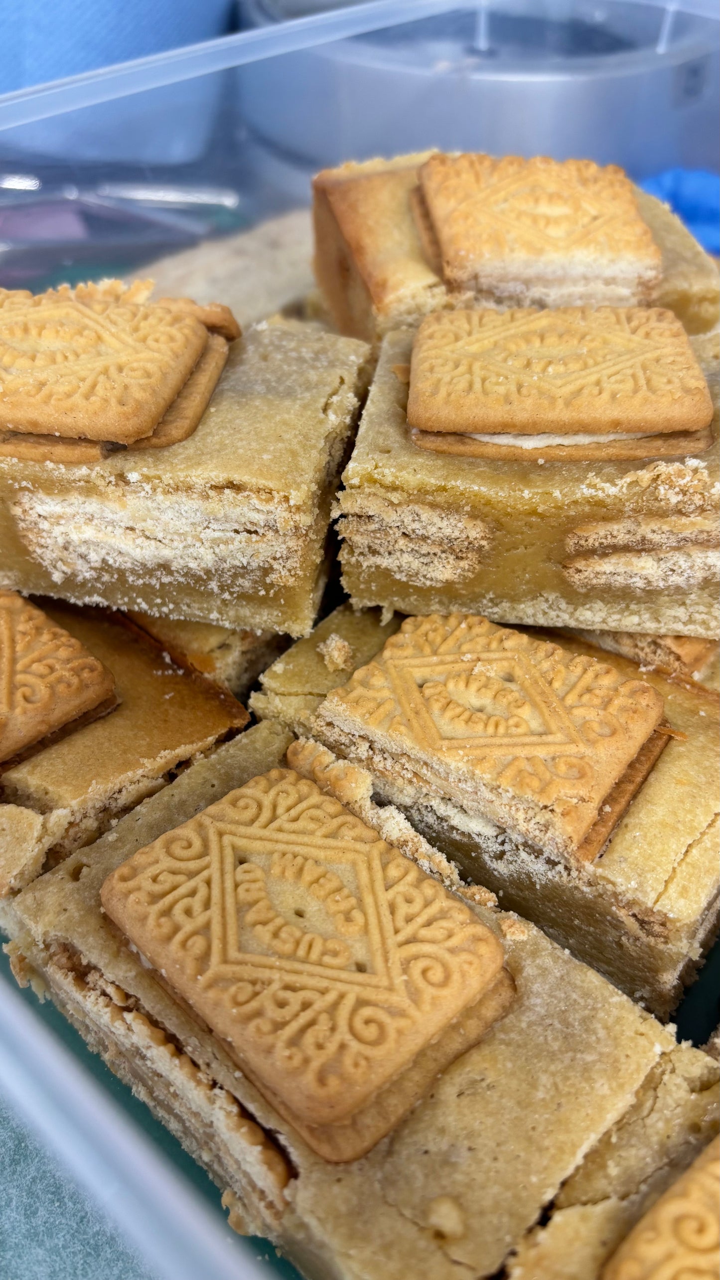 Wholesale Blondies - 20