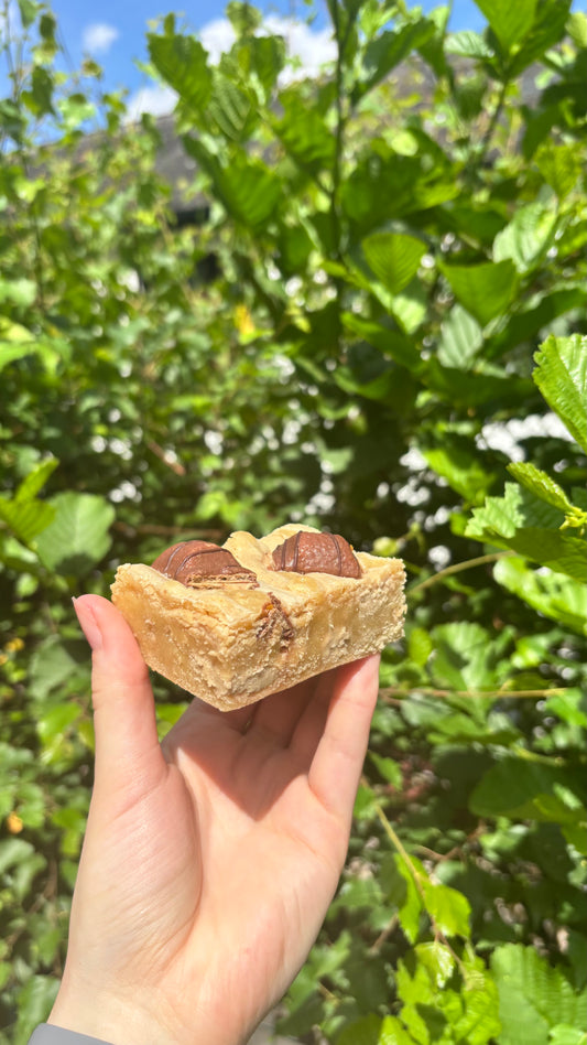 Wholesale Blondies - 20