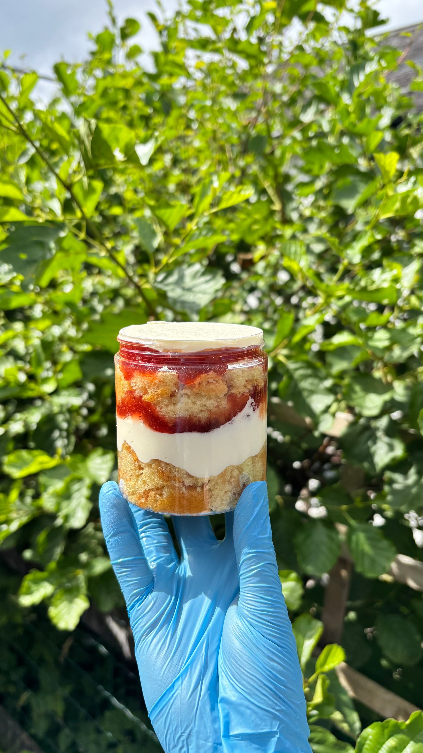 Box of 4 Cake Pots